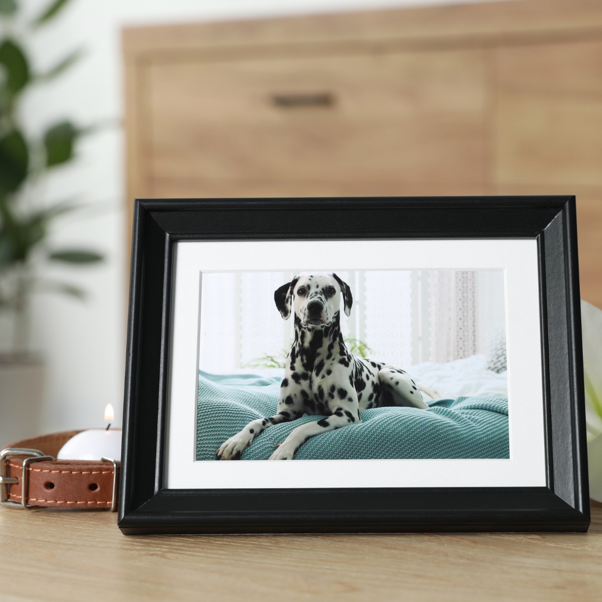 Frame with Picture of Dog