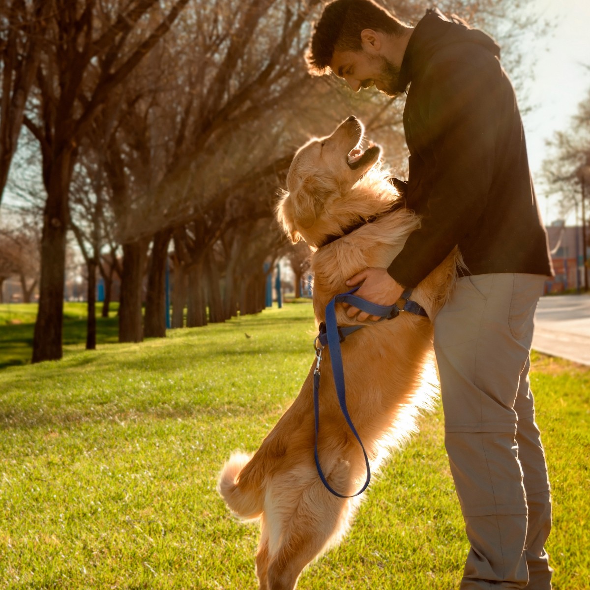 Man Hugging His Pet Dog on the Grass Outdoors