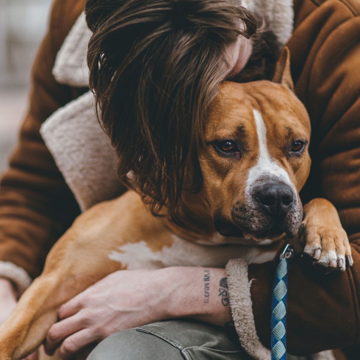 A man and his dog share a heartfelt moment