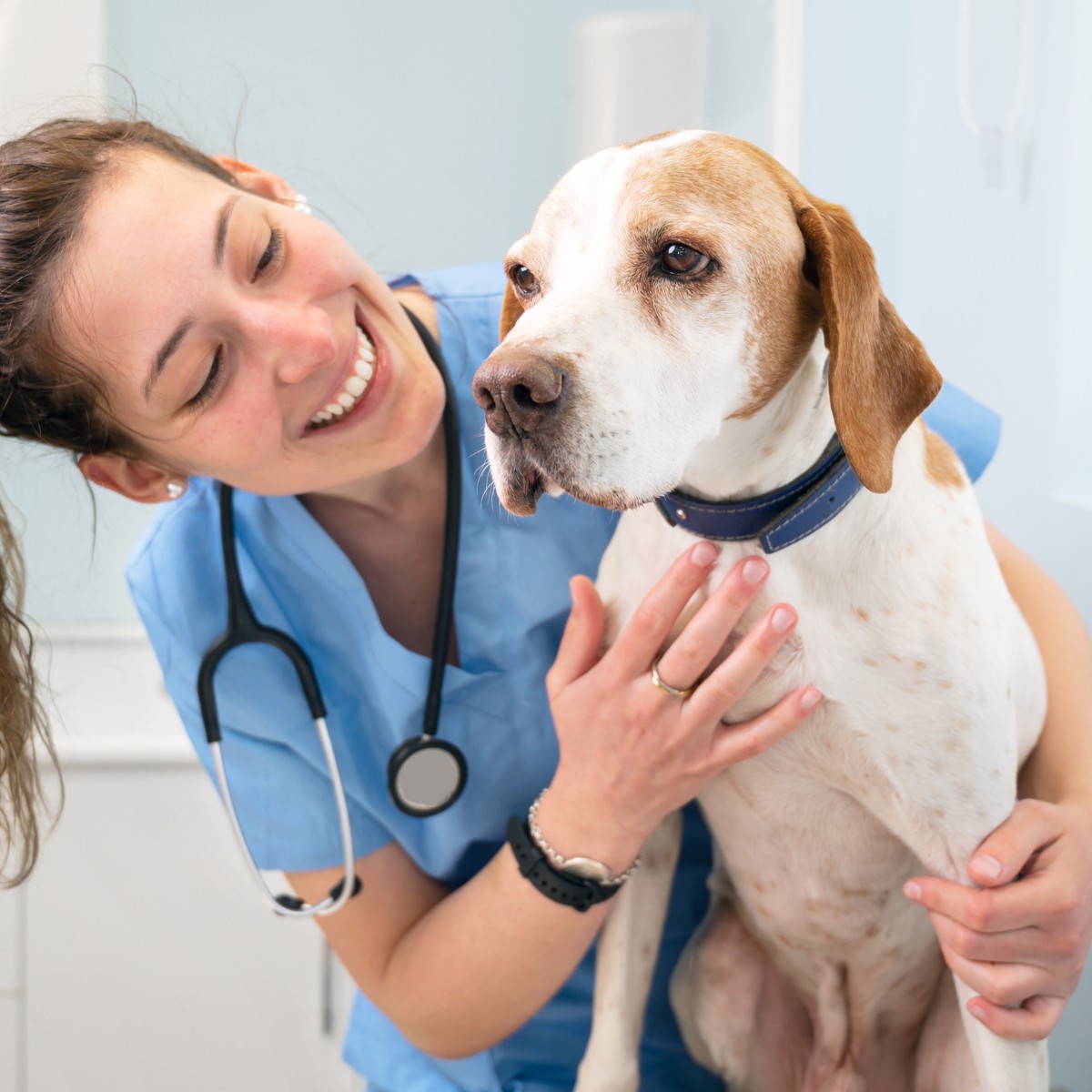 a veterinary nurse smiling while playing with a dog.